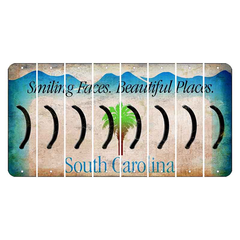 South Carolina Smiling Faces Cut License Plate Strips (Set of 8) Parenthesis - Right