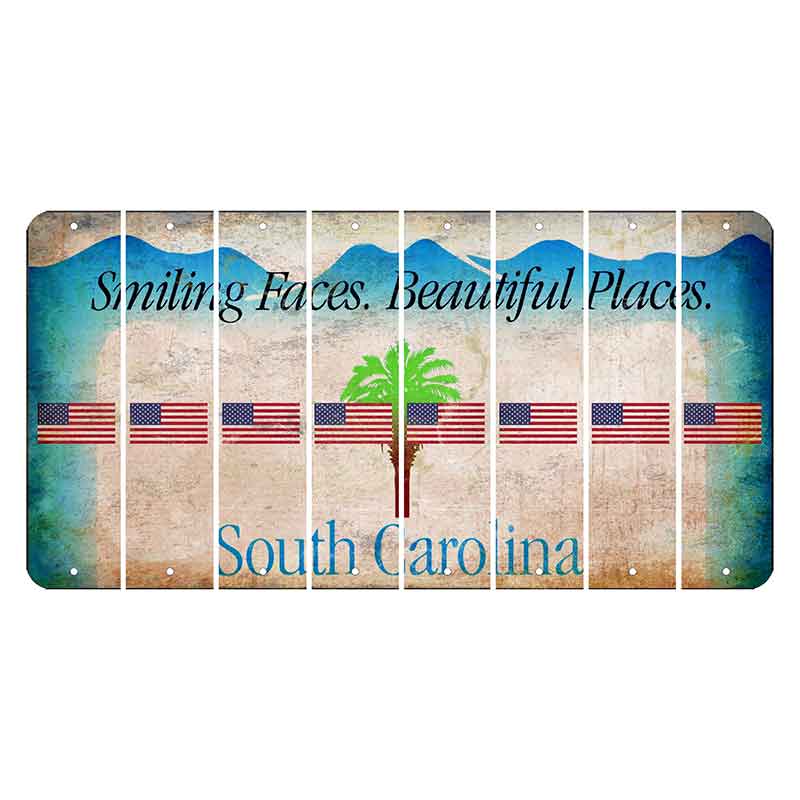 South Carolina Smiling Faces Cut License Plate Strips (Set of 8) American Flag