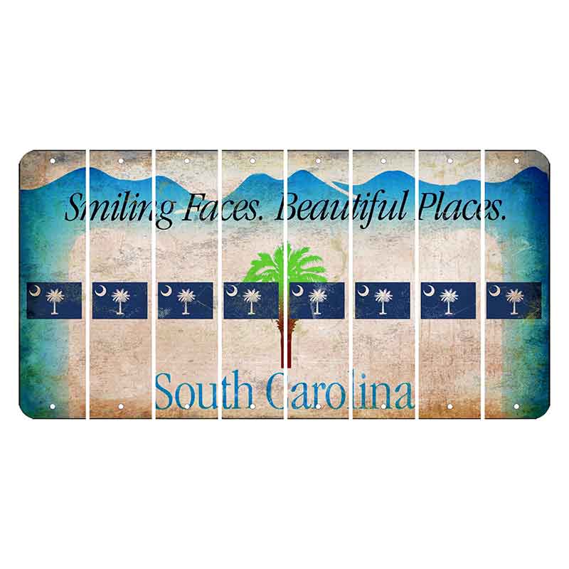 South Carolina Smiling Faces Cut License Plate Strips (Set of 8) State Flag