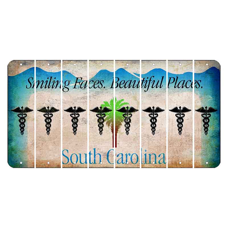 South Carolina Smiling Faces Cut License Plate Strips (Set of 8) Caduceus