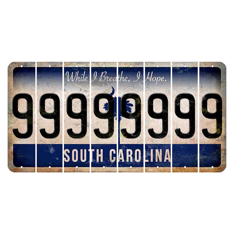 South Carolina While I Breathe Cut License Plate Strips (Set of 8) 9