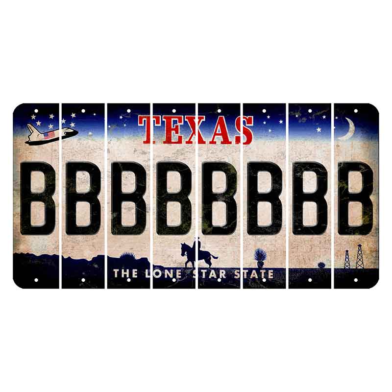 Texas Space Shuttle Cut License Plate Strips (Set of 8) B