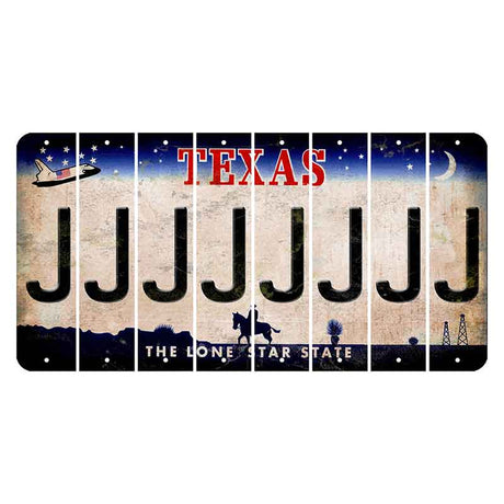 Texas Space Shuttle Cut License Plate Strips (Set of 8) J