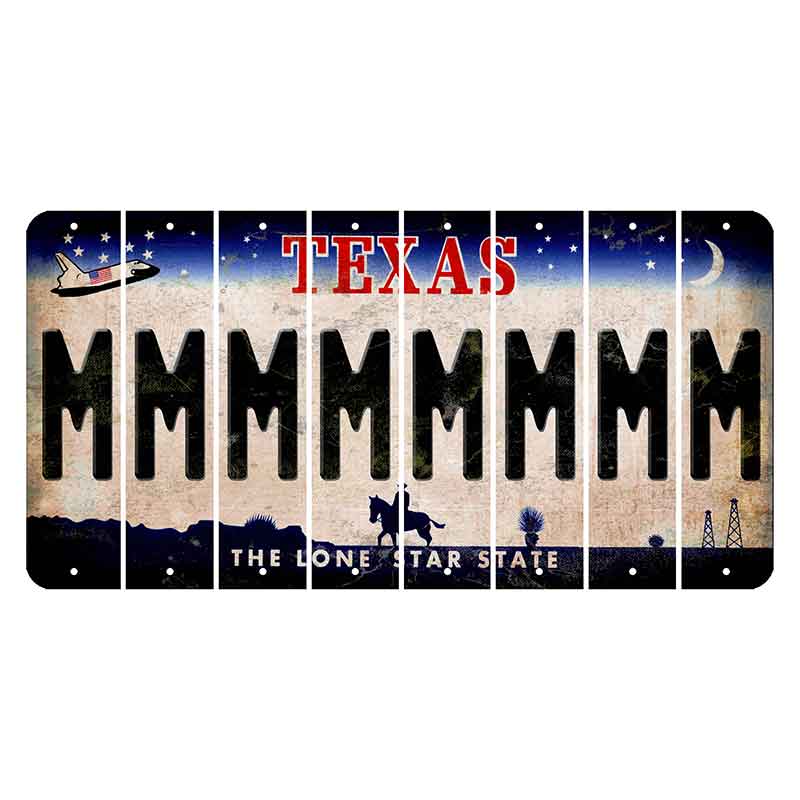 Texas Space Shuttle Cut License Plate Strips (Set of 8) M