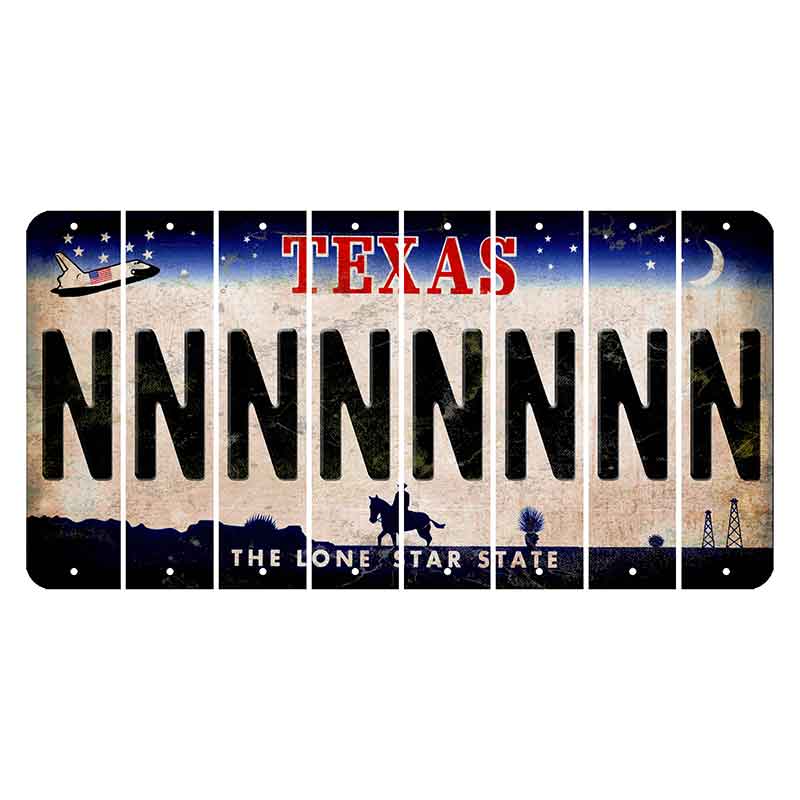 Texas Space Shuttle Cut License Plate Strips (Set of 8) N