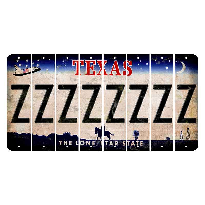 Texas Space Shuttle Cut License Plate Strips (Set of 8) Z