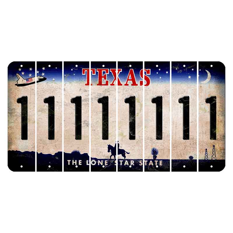 Texas Space Shuttle Cut License Plate Strips (Set of 8) 1