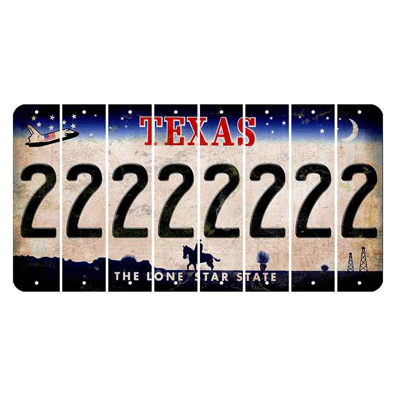 Texas Space Shuttle Cut License Plate Strips (Set of 8) 2