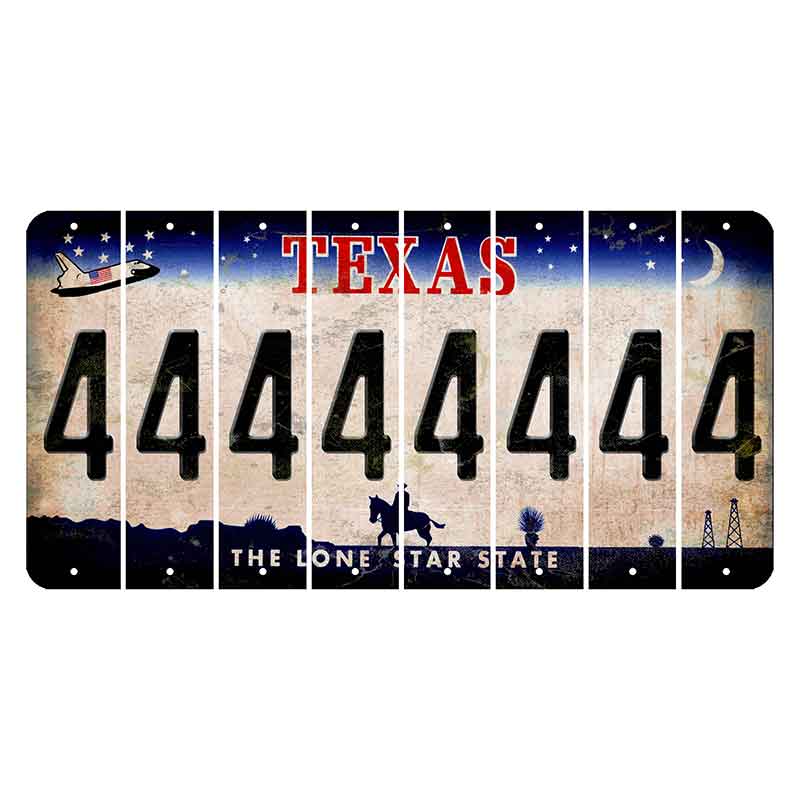 Texas Space Shuttle Cut License Plate Strips (Set of 8) 4