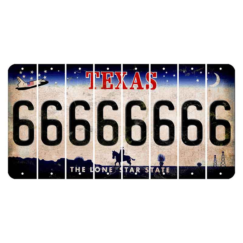 Texas Space Shuttle Cut License Plate Strips (Set of 8) 6