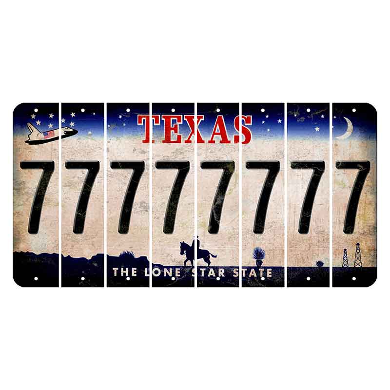 Texas Space Shuttle Cut License Plate Strips (Set of 8) 7