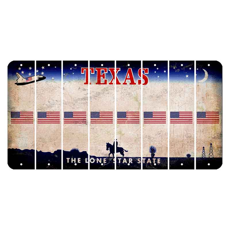 Texas Space Shuttle Cut License Plate Strips (Set of 8) American Flag