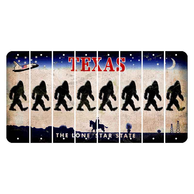 Texas Space Shuttle Cut License Plate Strips (Set of 8) Bigfoot