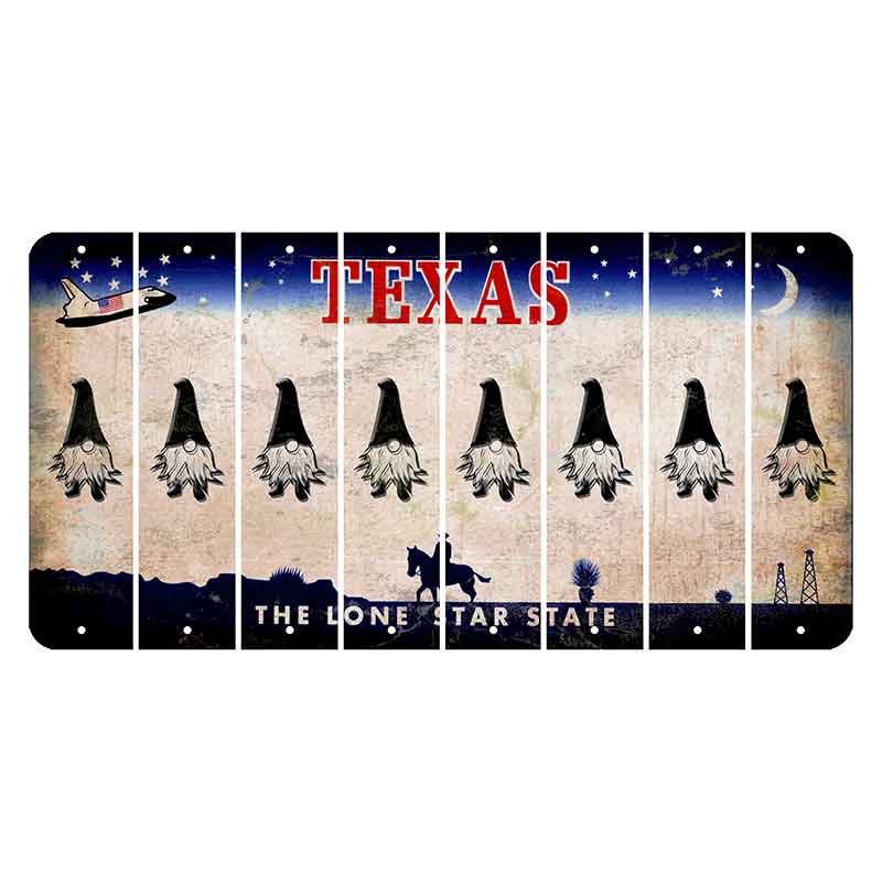 Texas Space Shuttle Cut License Plate Strips (Set of 8) Gnome