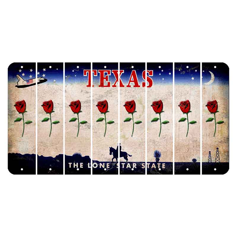 Texas Space Shuttle Cut License Plate Strips (Set of 8) Red Rose