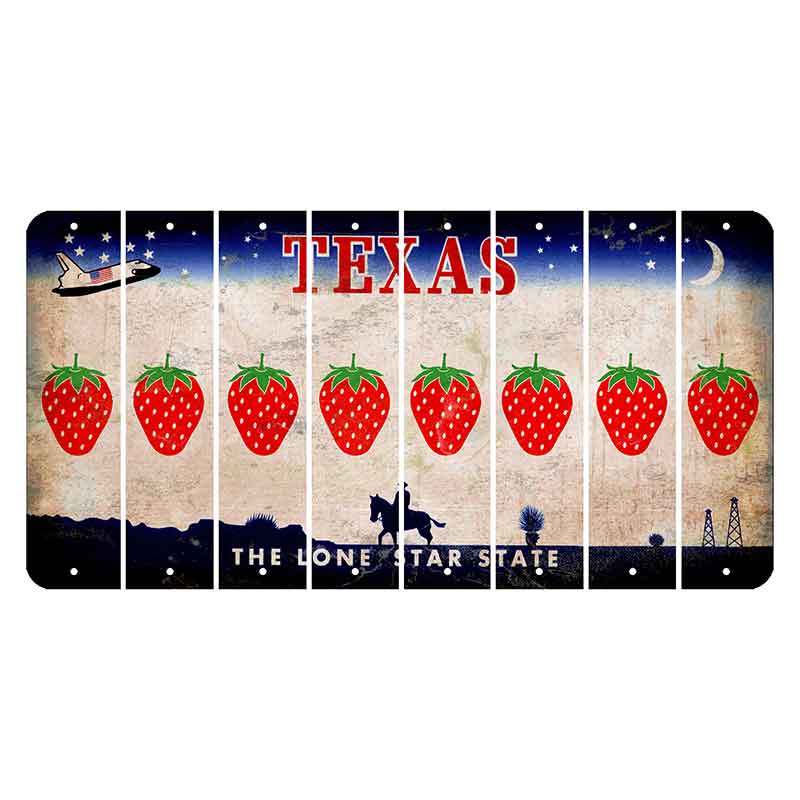 Texas Space Shuttle Cut License Plate Strips (Set of 8) Strawberry