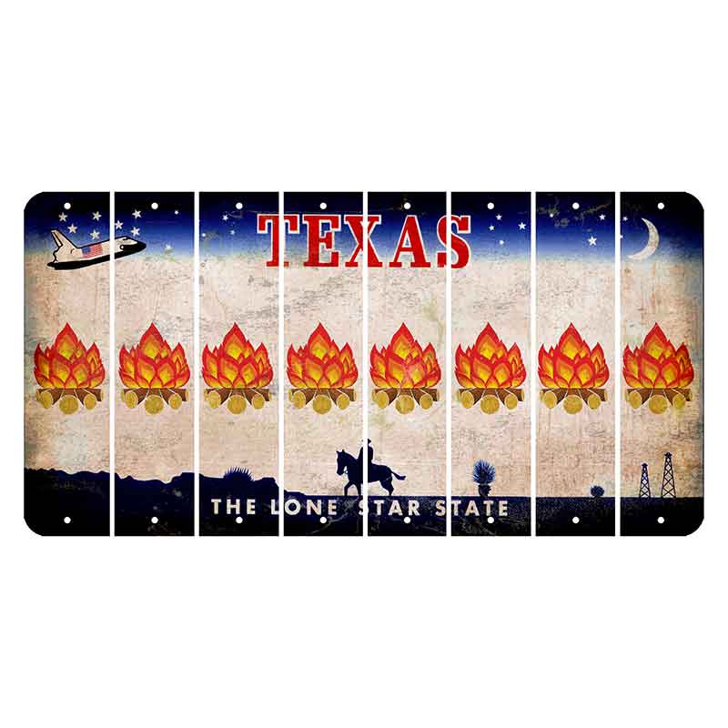 Texas Space Shuttle Cut License Plate Strips (Set of 8) Campfire