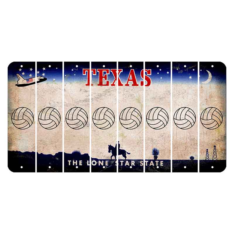 Texas Space Shuttle Cut License Plate Strips (Set of 8) Volleyball