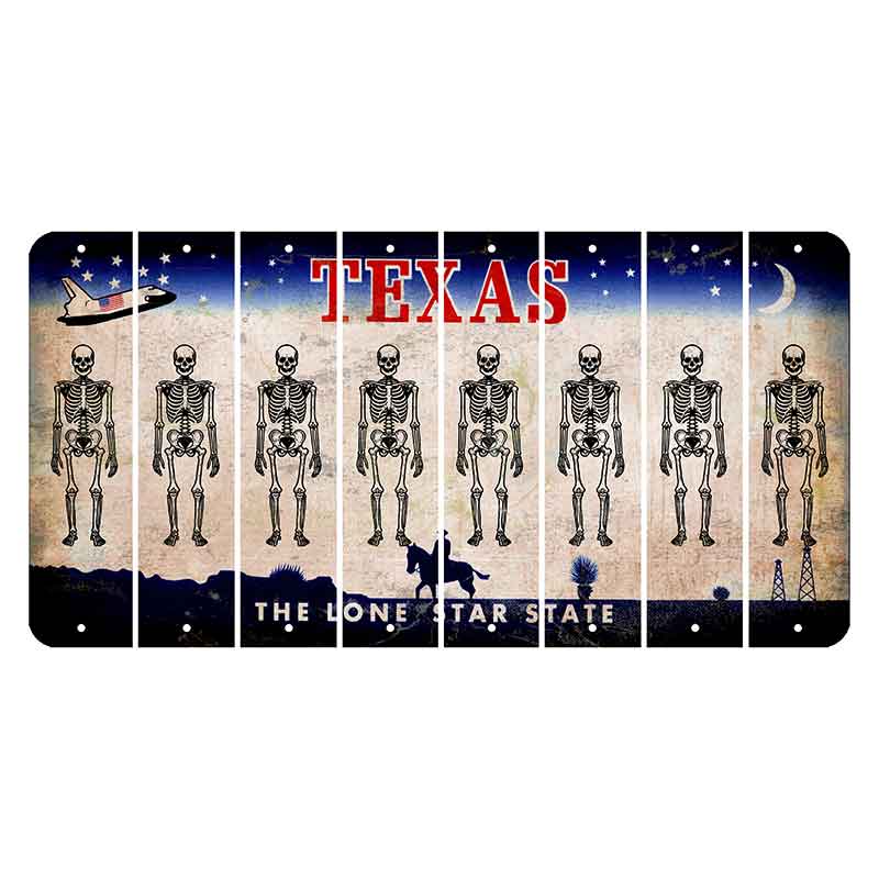 Texas Space Shuttle Cut License Plate Strips (Set of 8) Skeleton