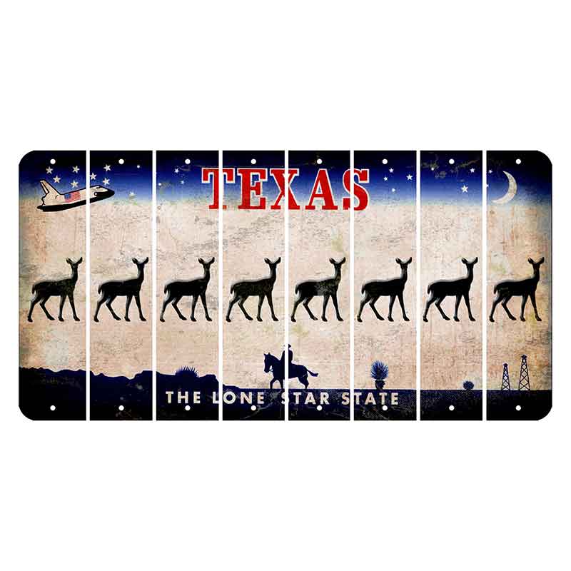 Texas Space Shuttle Cut License Plate Strips (Set of 8) Doe