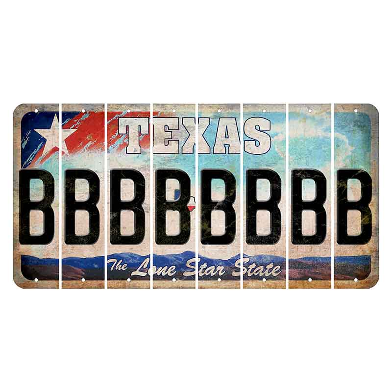 Texas Davis Mountains Cut License Plate Strips (Set of 8) B