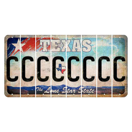 Texas Davis Mountains Cut License Plate Strips (Set of 8) C