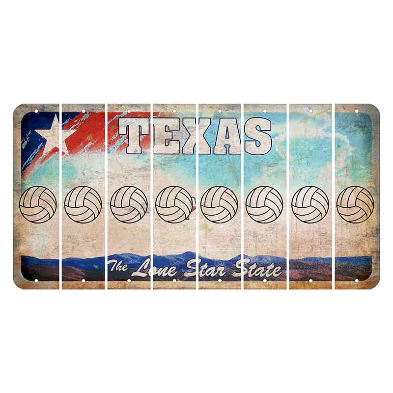 Texas Davis Mountains Cut License Plate Strips (Set of 8) Volleyball