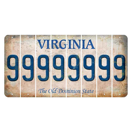 Virginia Cut License Plate Strips (Set of 8) 9