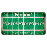 Vermont Green Mountain State Cut License Plate Strips (Set of 8) PS Controller