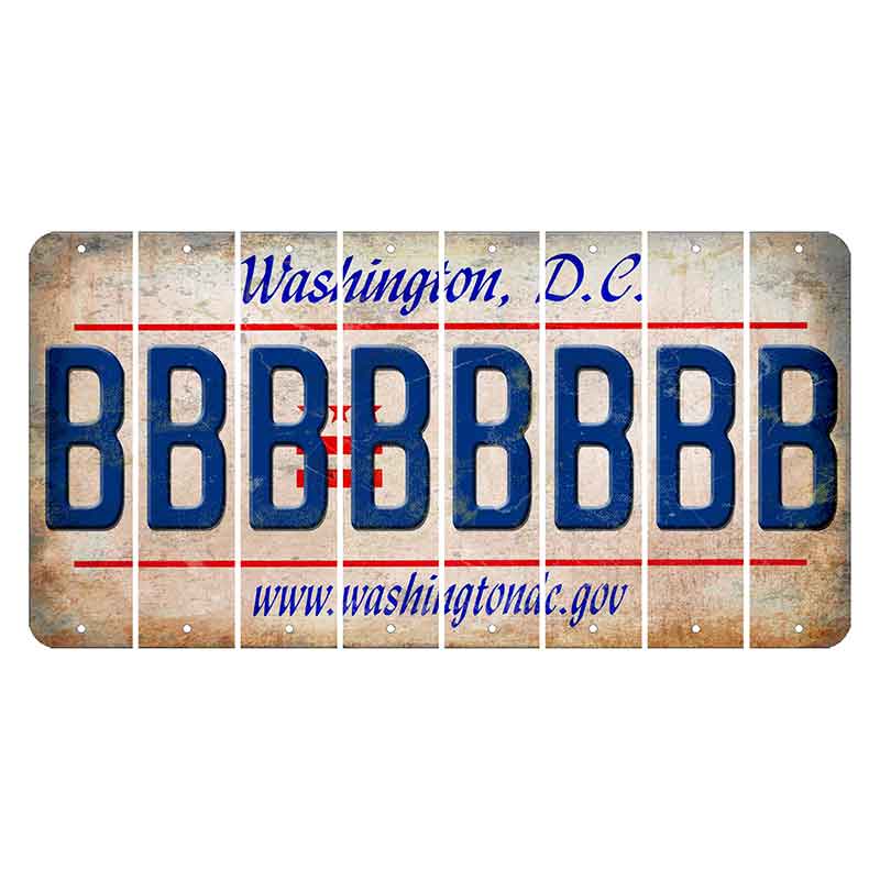 Washington DC.gov Cut License Plate Strips (Set of 8) B