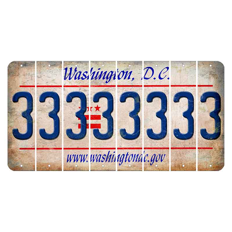 Washington DC.gov Cut License Plate Strips (Set of 8) 3