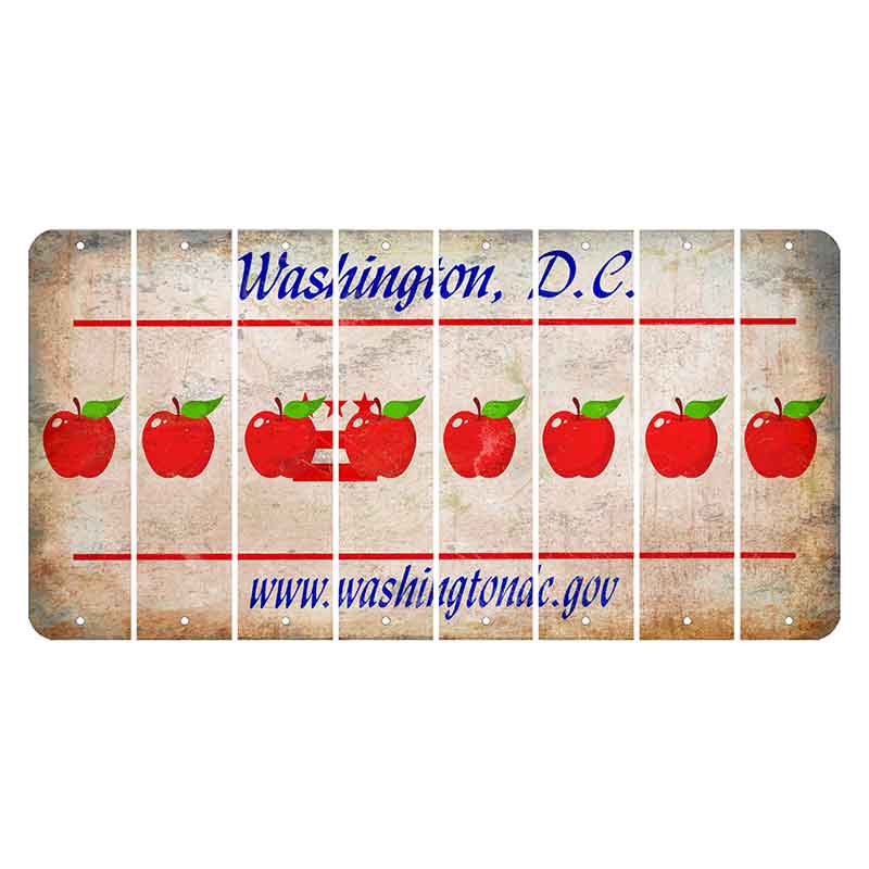 Washington DC.gov Cut License Plate Strips (Set of 8) Apple