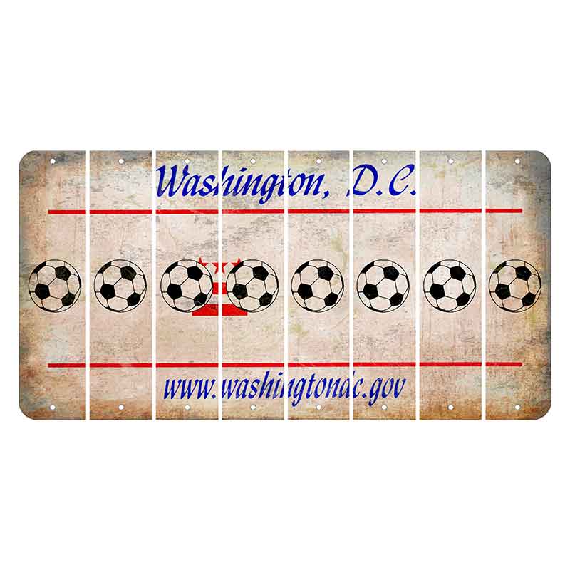 Washington DC.gov Cut License Plate Strips (Set of 8) Soccerball