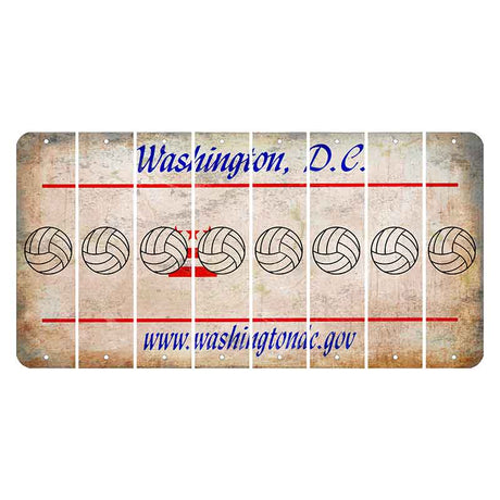 Washington DC.gov Cut License Plate Strips (Set of 8) Volleyball