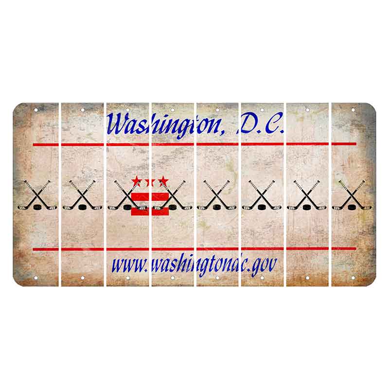 Washington DC.gov Cut License Plate Strips (Set of 8) Hockey