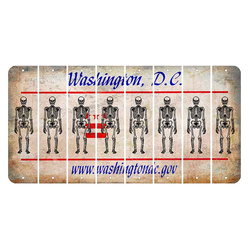 Washington DC.gov Cut License Plate Strips (Set of 8) Skeleton