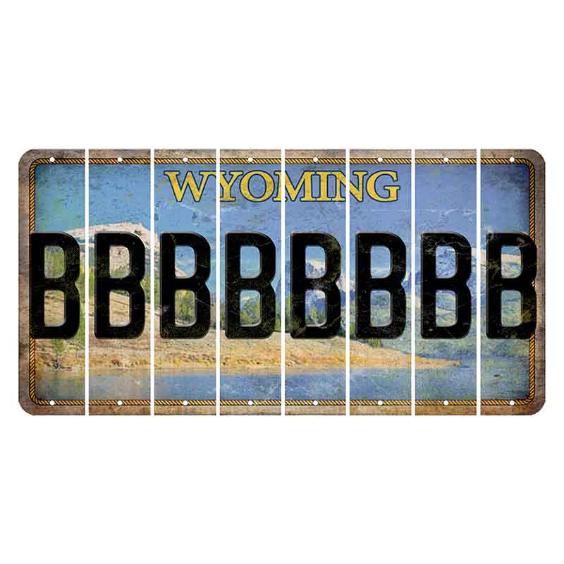 Wyoming Squaretop Mountain Cut License Plate Strips (Set of 8) B