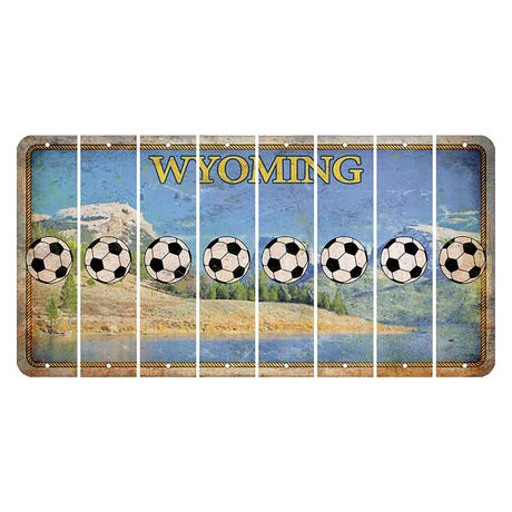 Wyoming Squaretop Mountain Cut License Plate Strips (Set of 8) Soccerball