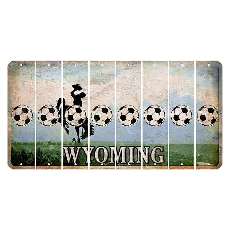 Wyoming Teton Range Cut License Plate Strips (Set of 8) Soccerball