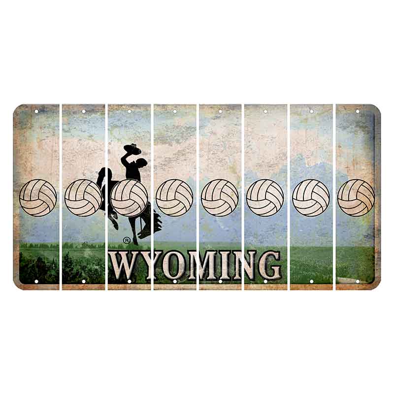 Wyoming Teton Range Cut License Plate Strips (Set of 8) Volleyball