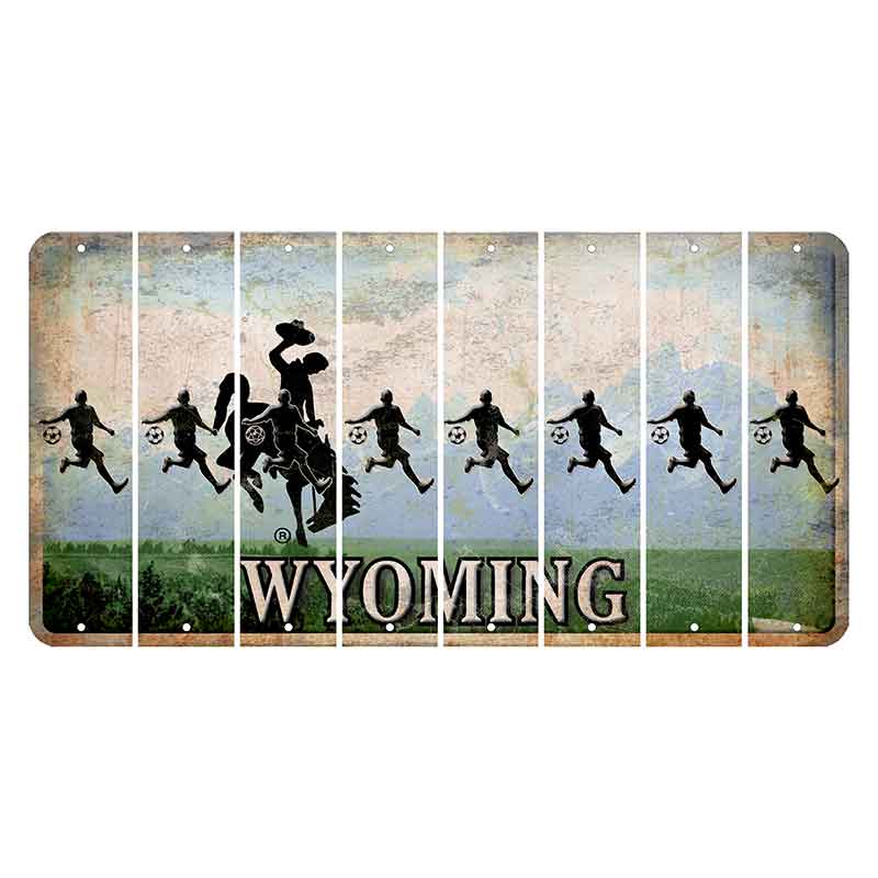 Wyoming Teton Range Cut License Plate Strips (Set of 8) Soccer Player