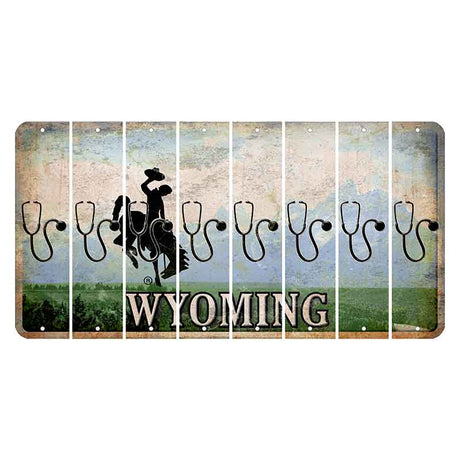 Wyoming Teton Range Cut License Plate Strips (Set of 8) Stethoscope