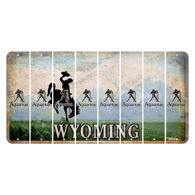 Wyoming Teton Range Cut License Plate Strips (Set of 8) Zodiac Sign - Aquarius