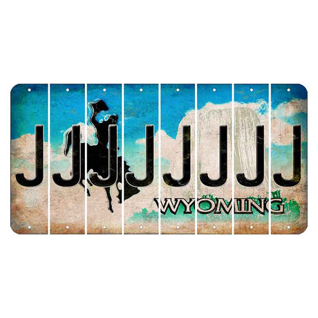 Wyoming Devils Tower Cut License Plate Strips (Set of 8) J