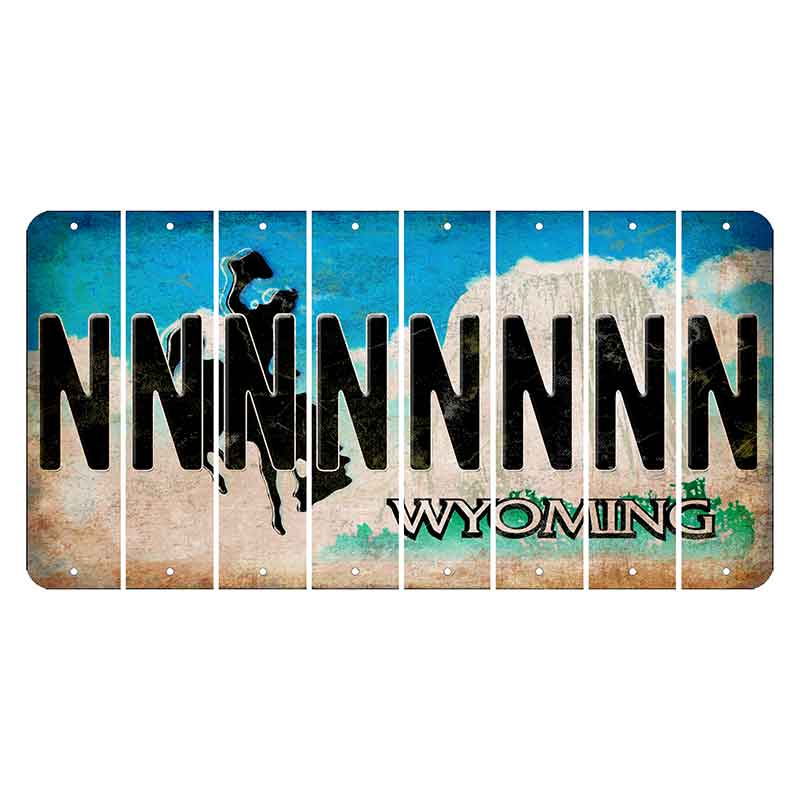 Wyoming Devils Tower Cut License Plate Strips (Set of 8) N