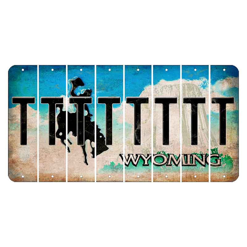 Wyoming Devils Tower Cut License Plate Strips (Set of 8) T