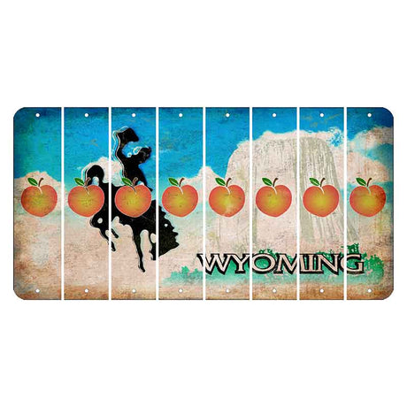 Wyoming Devils Tower Cut License Plate Strips (Set of 8) Peach