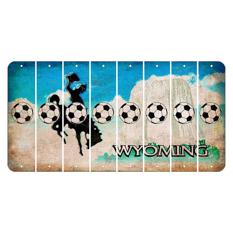 Wyoming Devils Tower Cut License Plate Strips (Set of 8) Soccerball