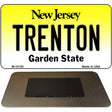 Trenton New Jersey State License Plate Tag Magnet M-10150