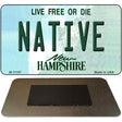 Native New Hampshire State License Plate Tag Magnet M-11167